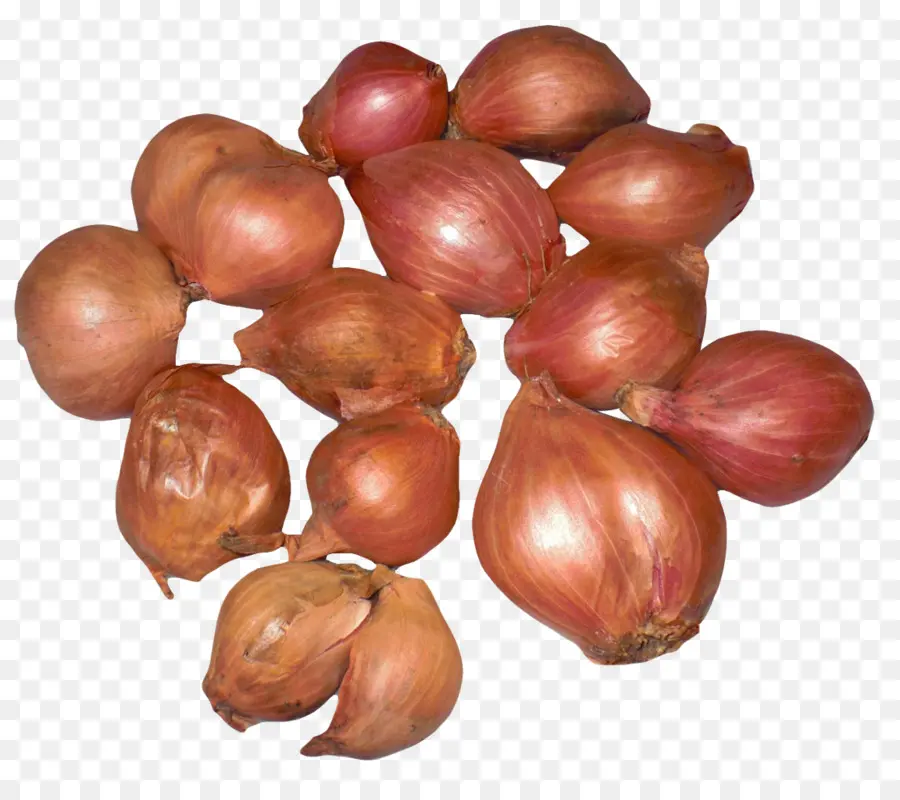 Bawang Merah，Bawang PNG