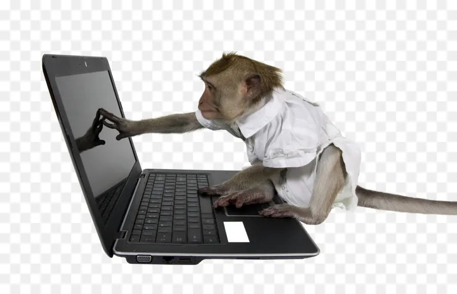 Laptop，Monyet PNG