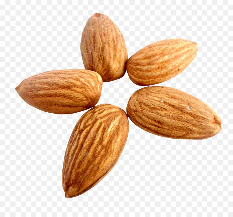 Kacang Almond，Gila PNG