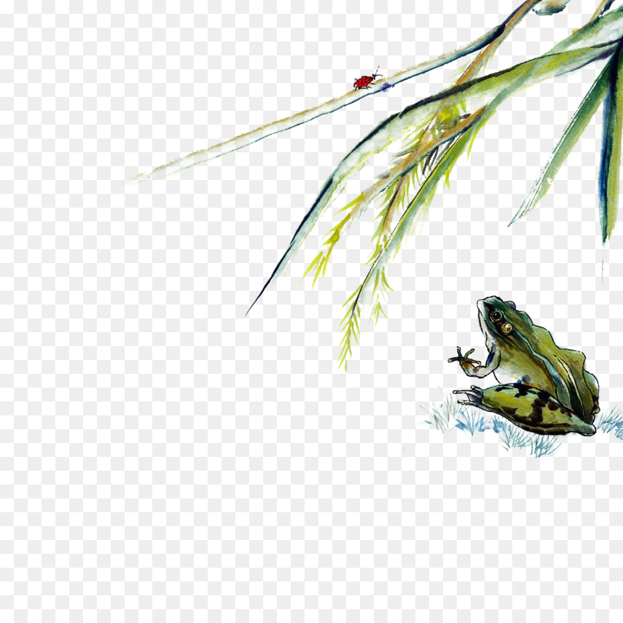 Katak，Amfibi PNG