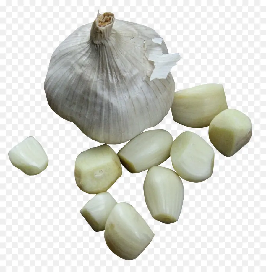 Bawang Putih，Cengkih PNG