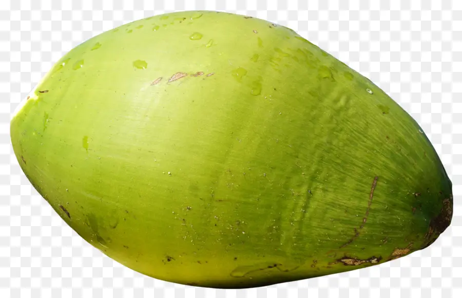 Kelapa Hijau，Kelapa PNG