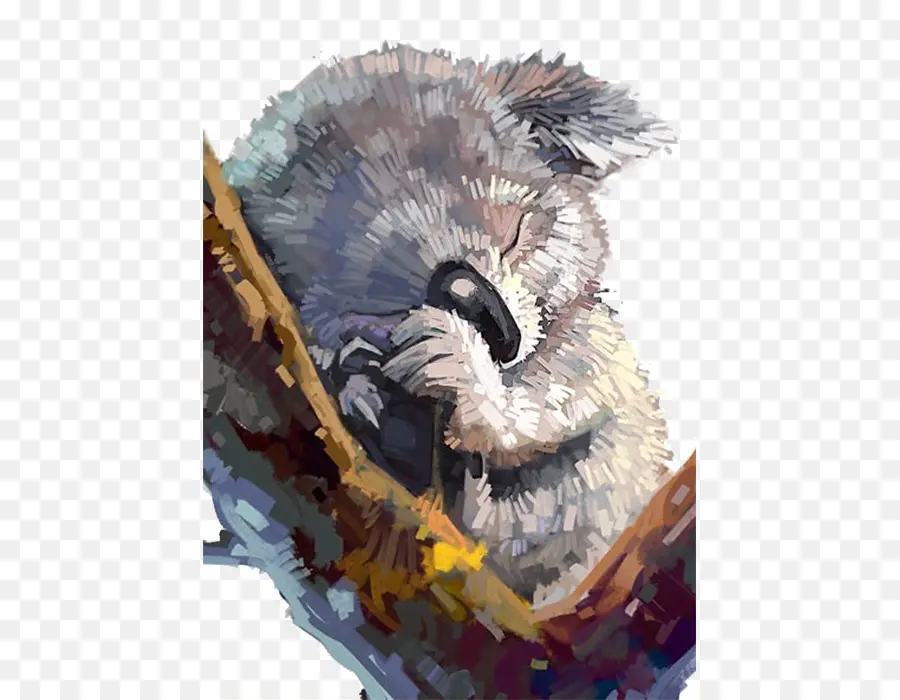 Koala，Lukisan PNG