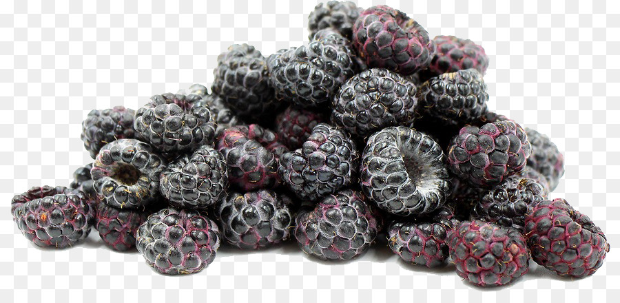 Raspberry Hitam，Buah Beri PNG