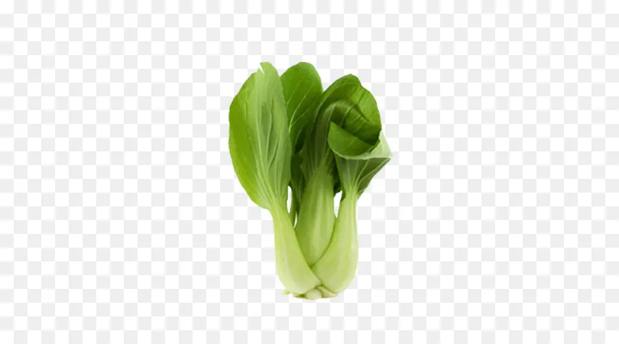 Bok Choy，Sawi Putih PNG