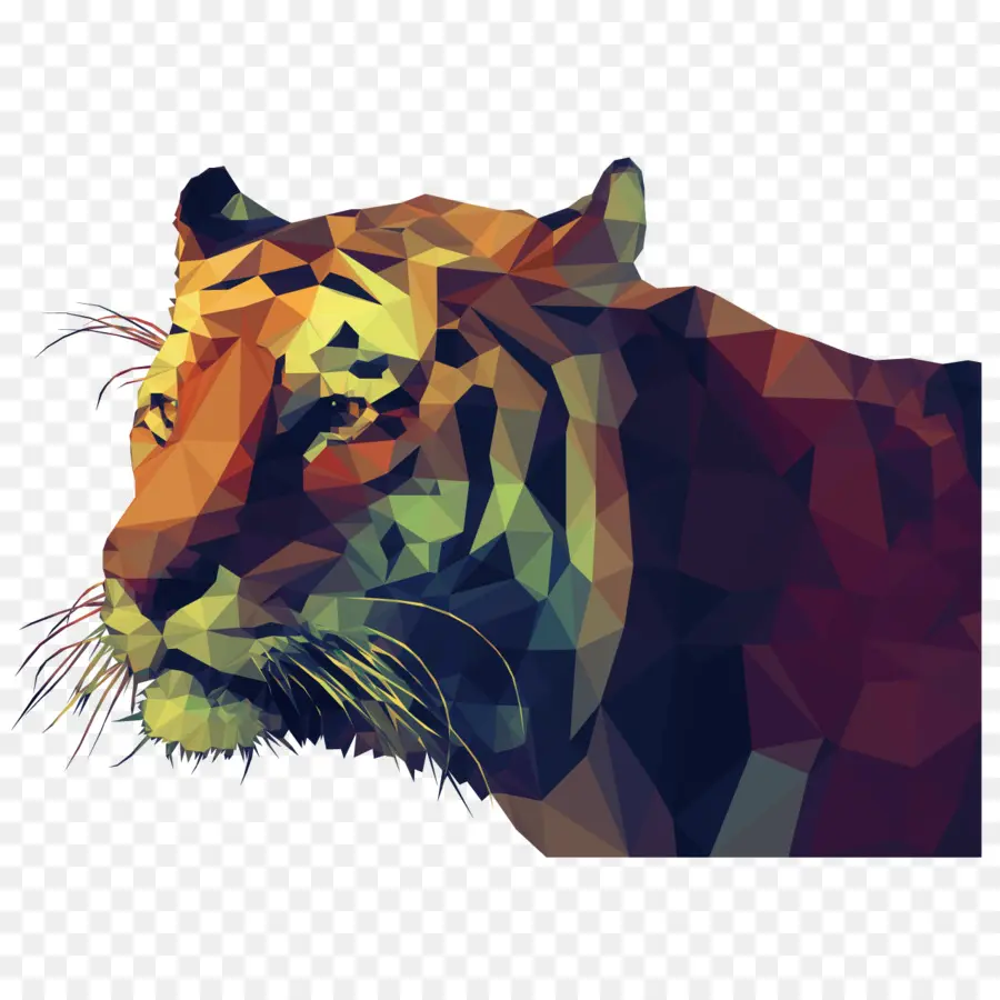 Harimau Poligonal，Harimau PNG