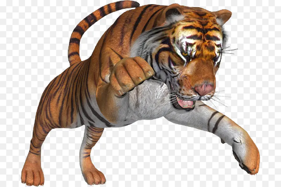 Harimau Beristirahat，Hewan PNG