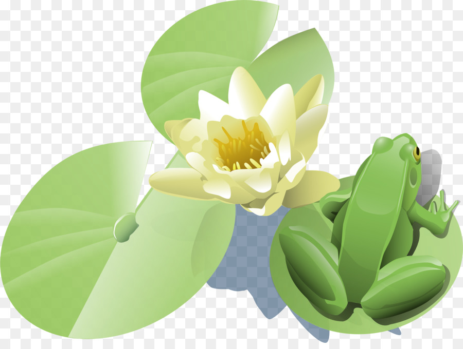 Katak，Lily Pad PNG