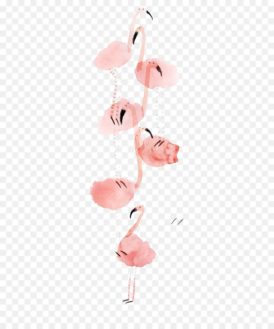 Flamingo，Lukisan Cat Air PNG