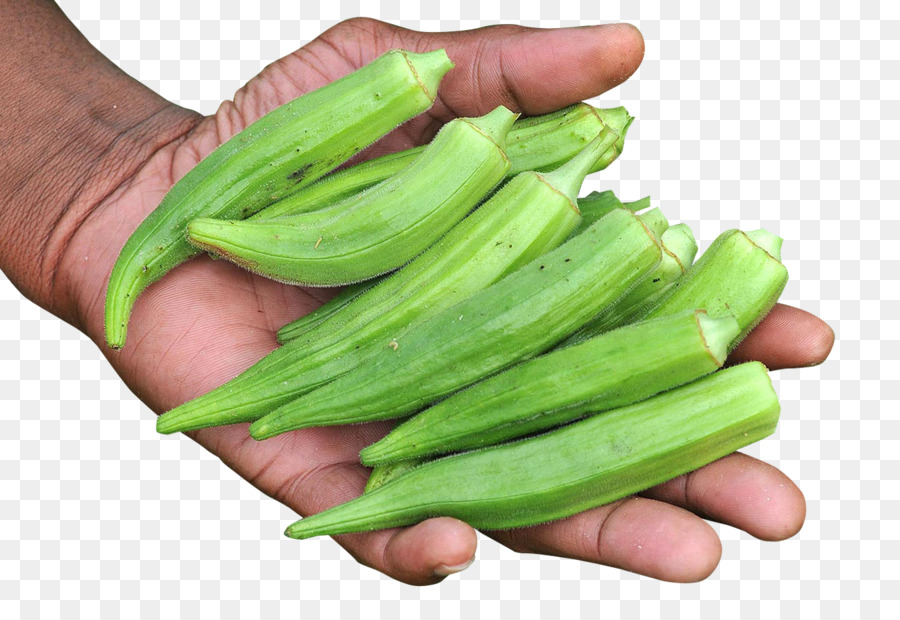 Masakan Vegetarian，Okra PNG