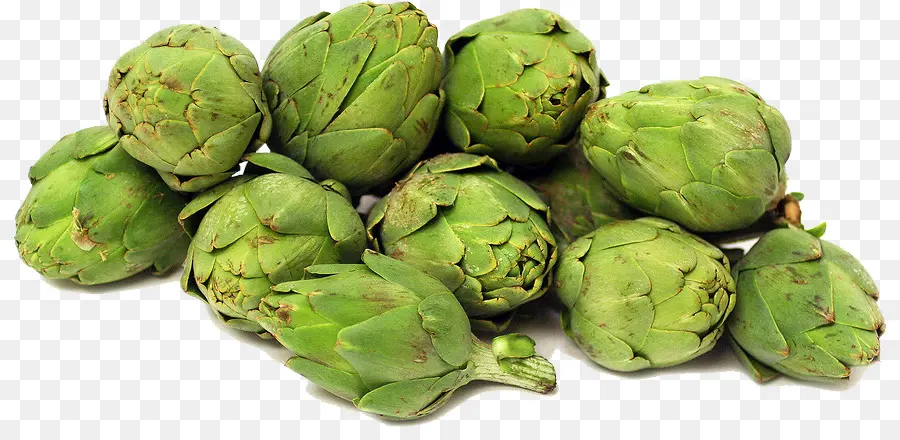 Artichoke，Hijau PNG