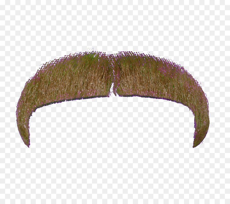 Kumis，Rambut PNG