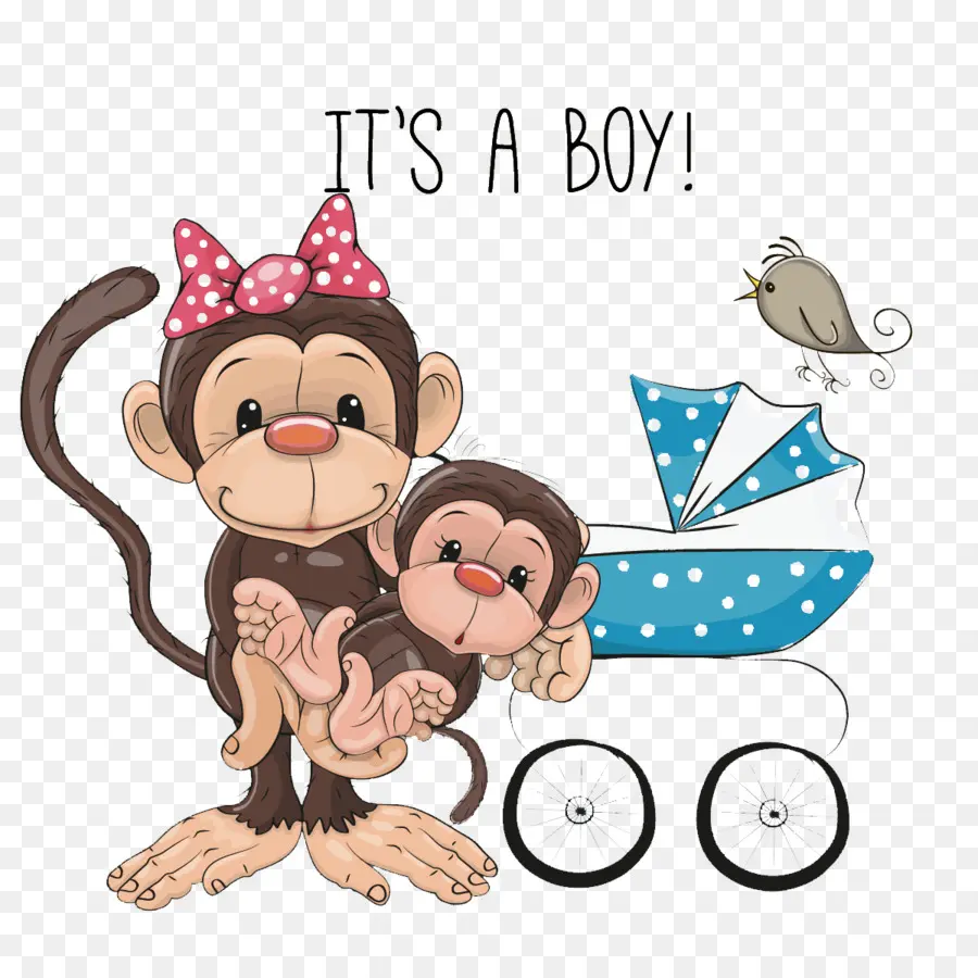 Monyet，Bayi PNG