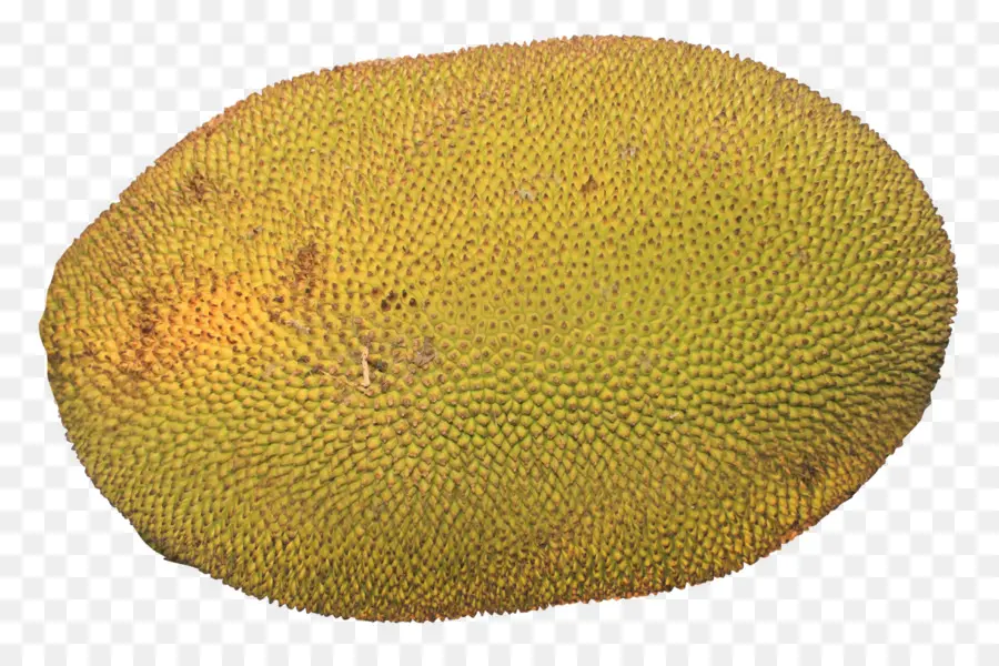 Jeruk，Buah Kiwi PNG