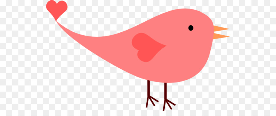 Burung Pink Blog Gambar Png