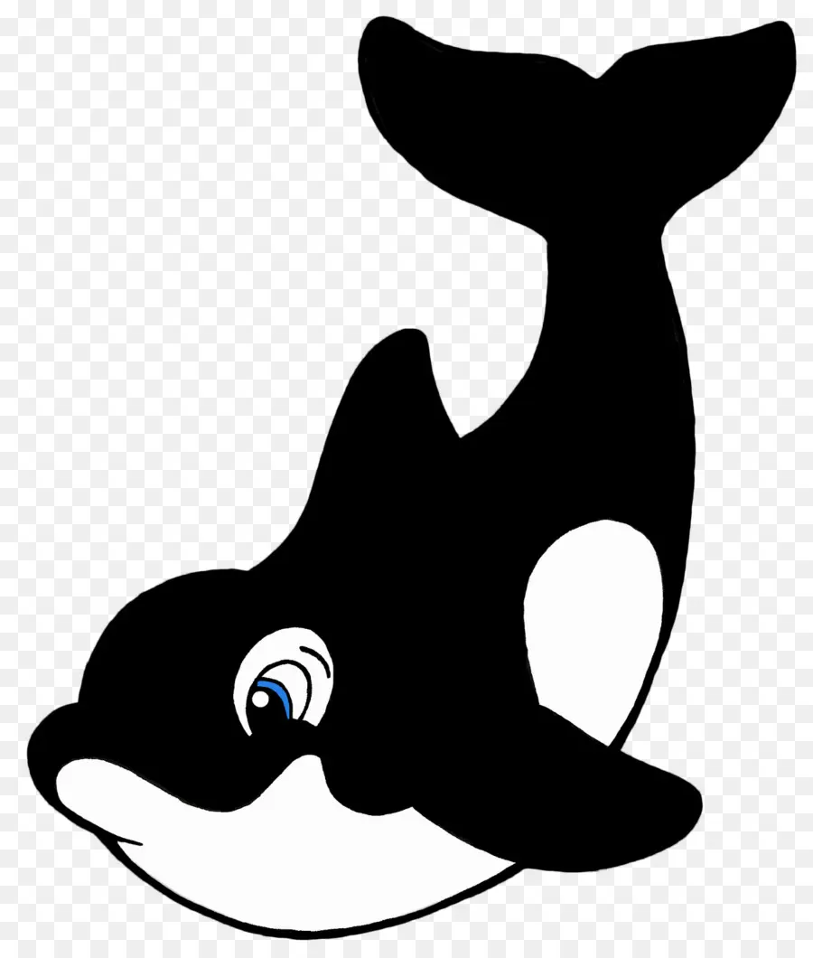 Orca，Paus PNG