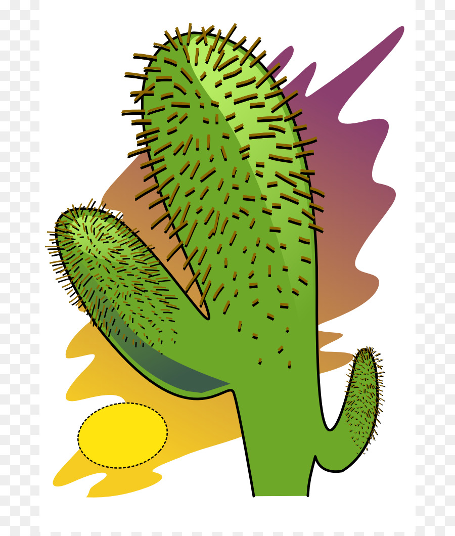 Gurun，Cactaceae PNG