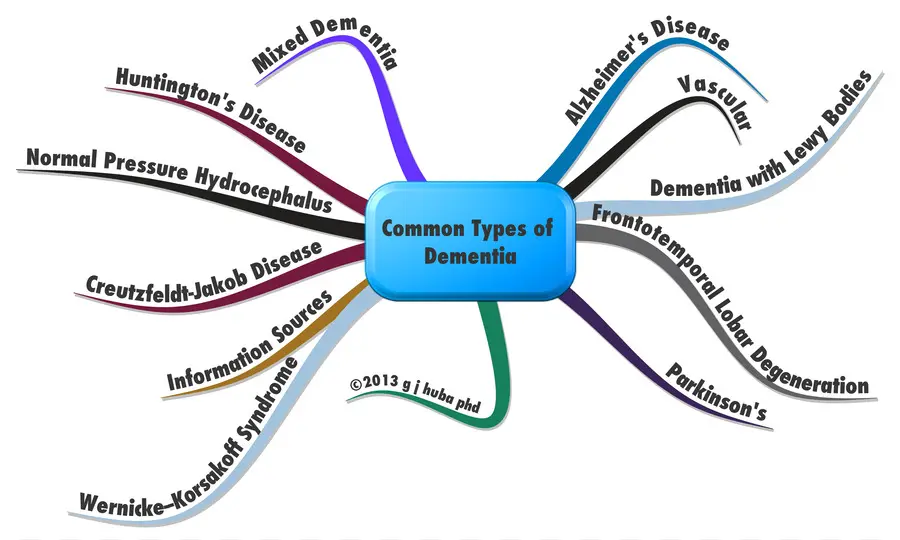 Jenis Demensia，Penyakit PNG