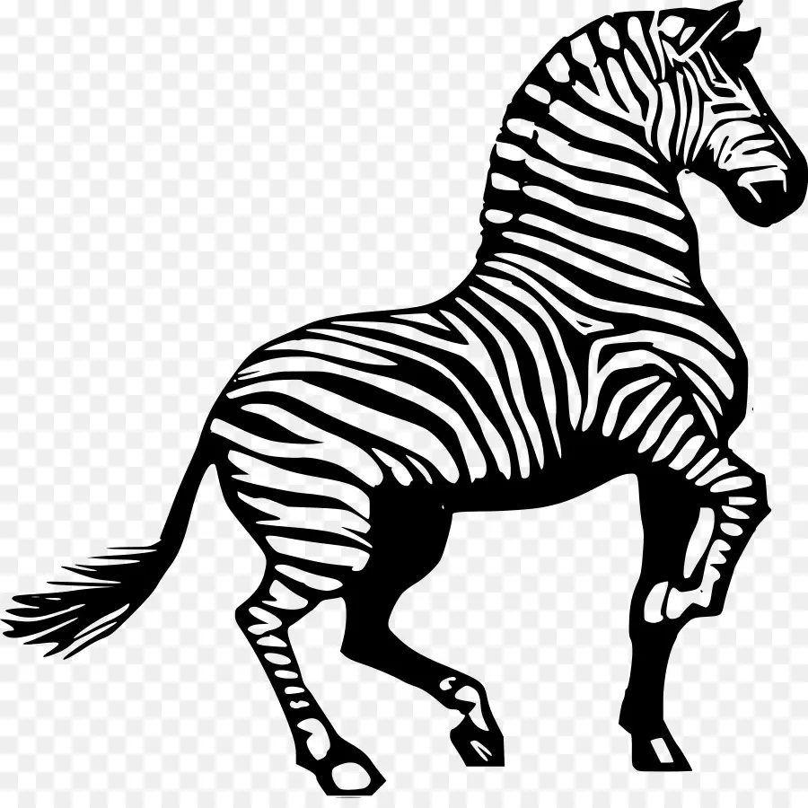 Zebra，Kuda PNG