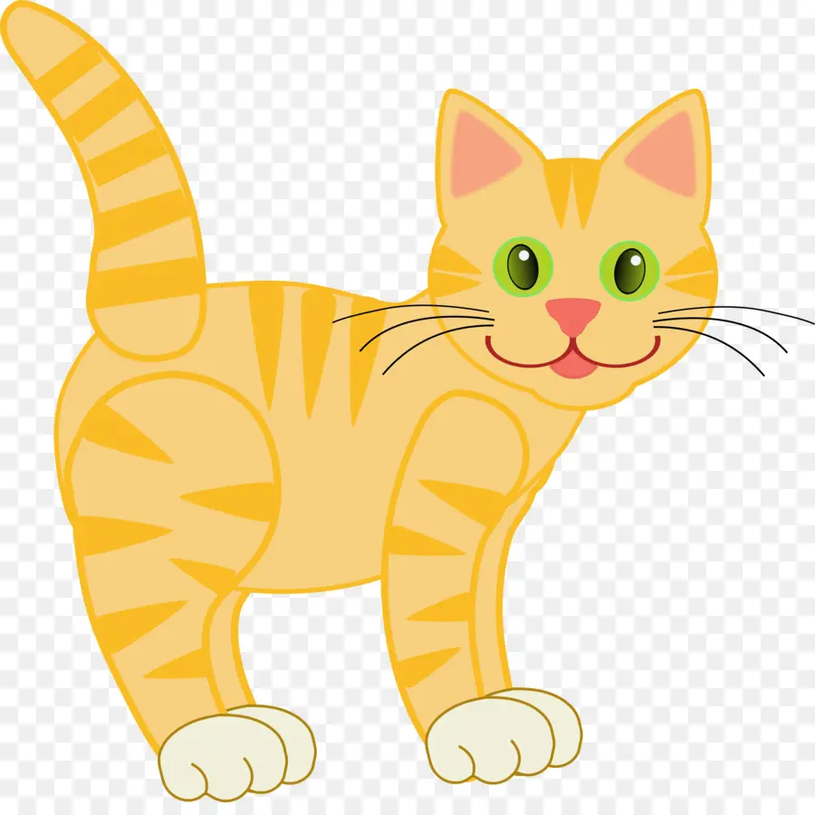 Kucing，Tabby Kucing PNG