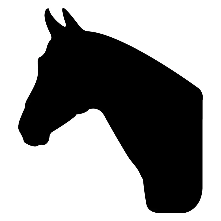 American Quarter Horse，Kuda Arab PNG