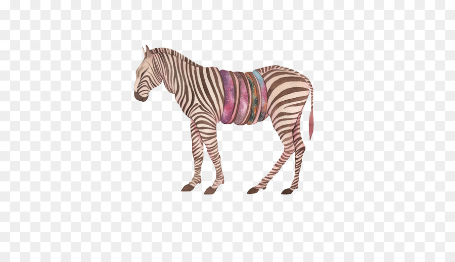 Zebra Berwarna Warni，Garis Garis PNG