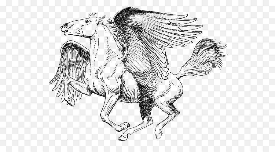 Pegasus，Kuda PNG