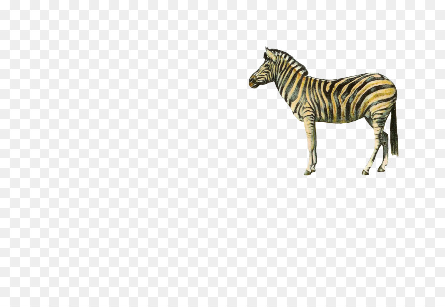 Bayi Zebra，Margasatwa PNG