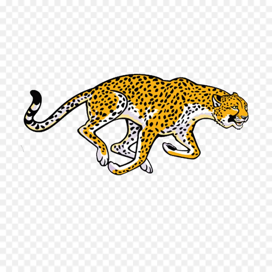 Cheetah，Macan Tutul PNG