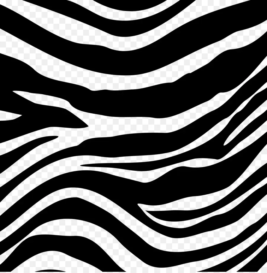 Zebra，Hitam Dan Putih PNG