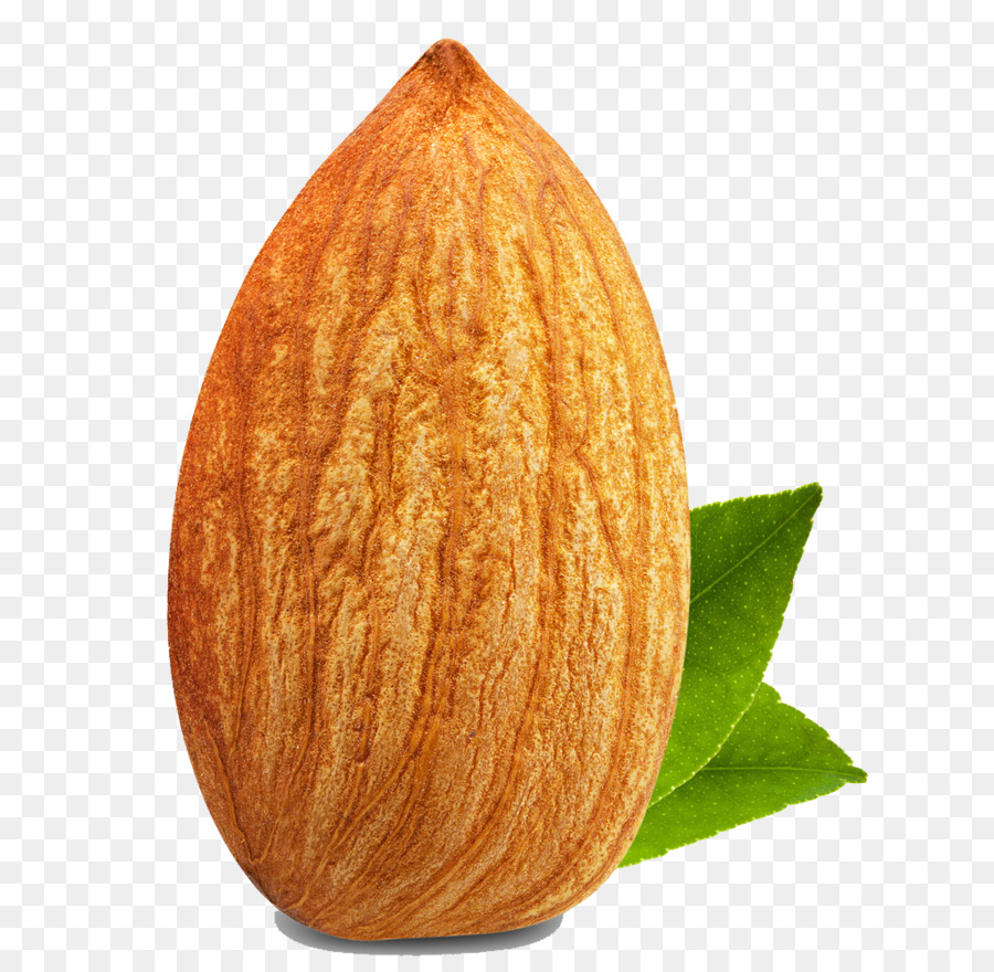 Almond Kacang Buah Kering Gambar Png