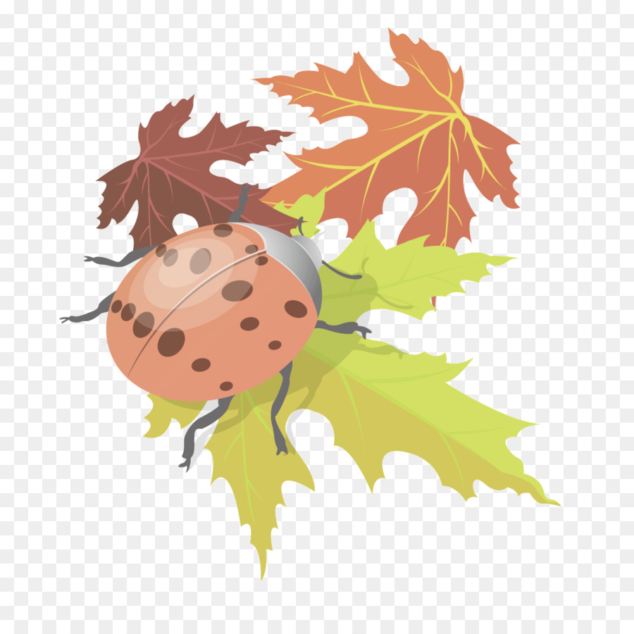 Daun Maple，Euclidean Vektor PNG