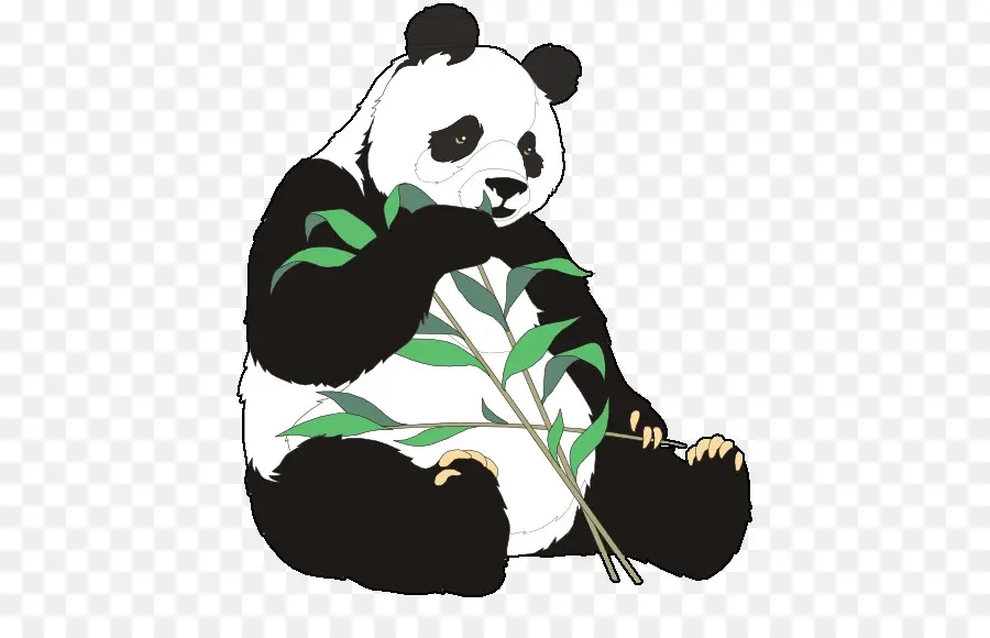 Panda Raksasa，Beruang PNG