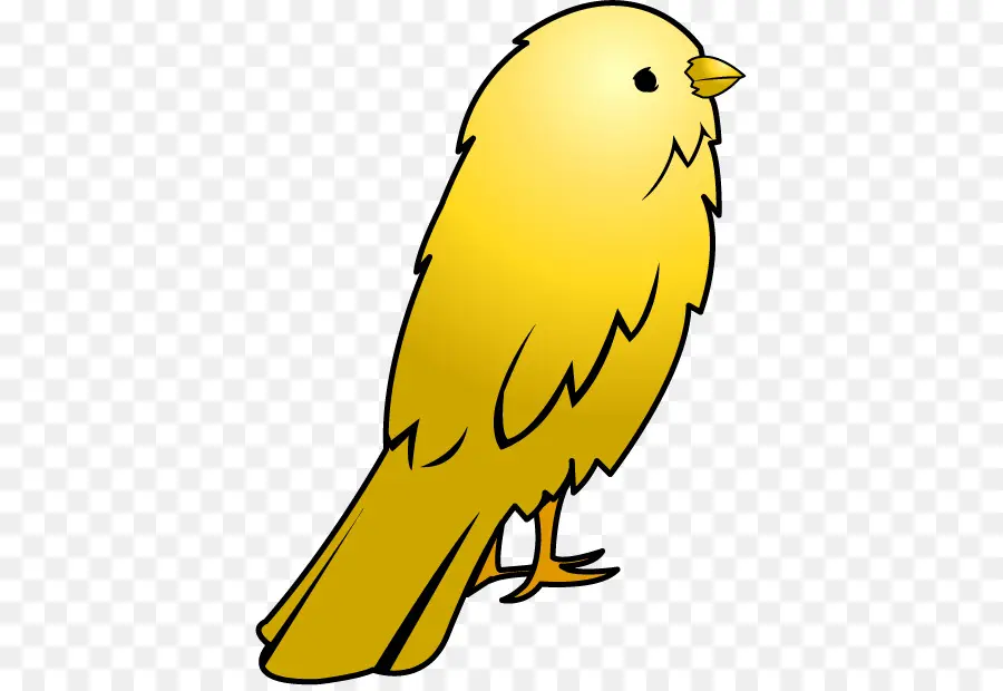 Domestik Canary，Burung PNG