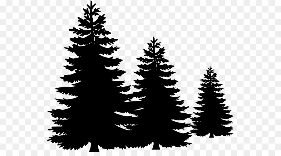 Pinus Pohon Siluet gambar png