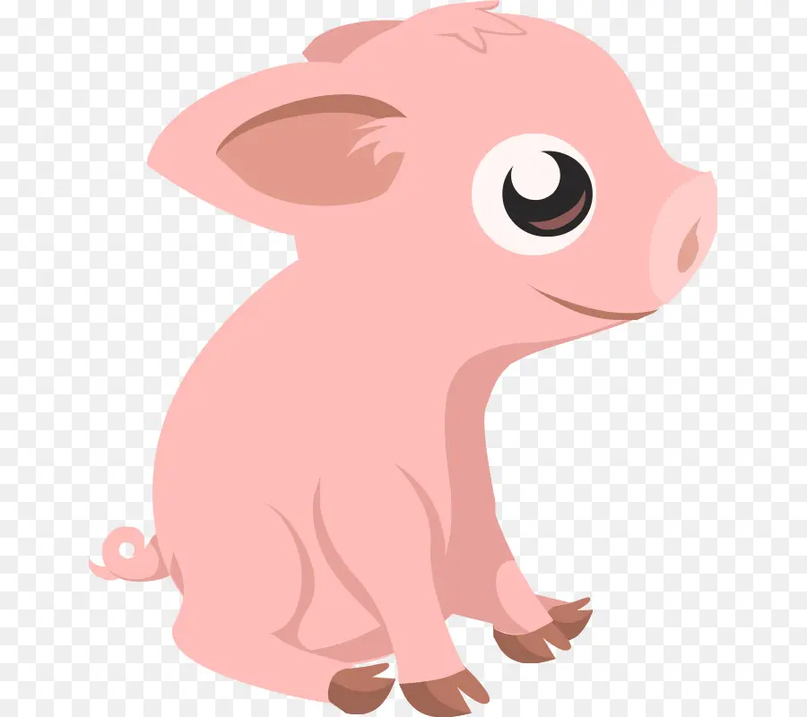 Babi，Peternakan PNG