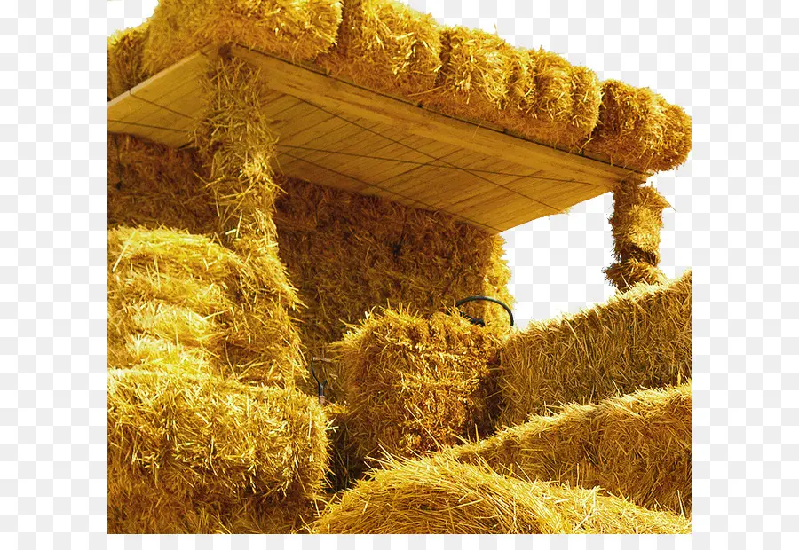 Hay Bale，Jerami PNG