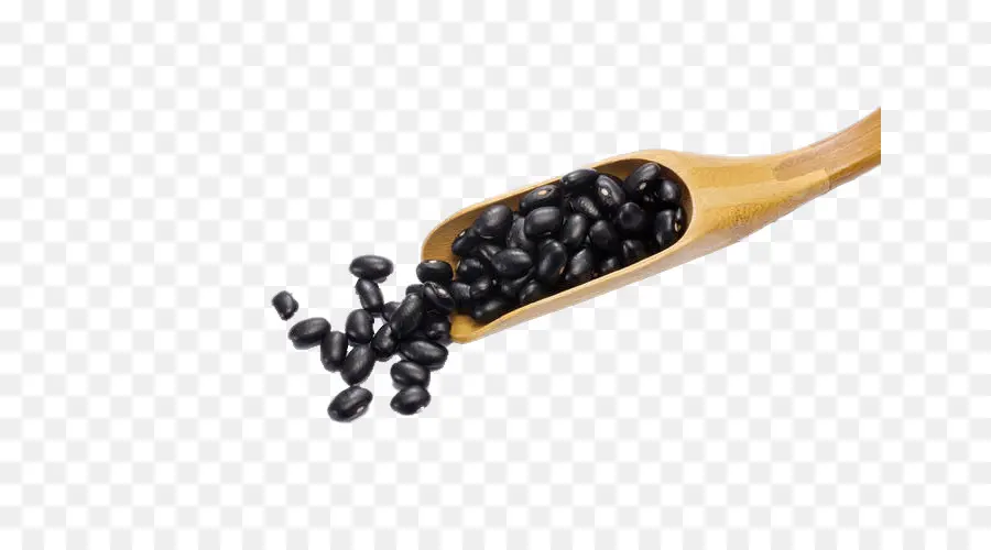 Penyu Hitam Kacang，Kacang PNG