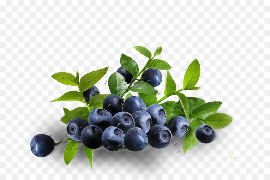 Blueberry，Daun Daun PNG