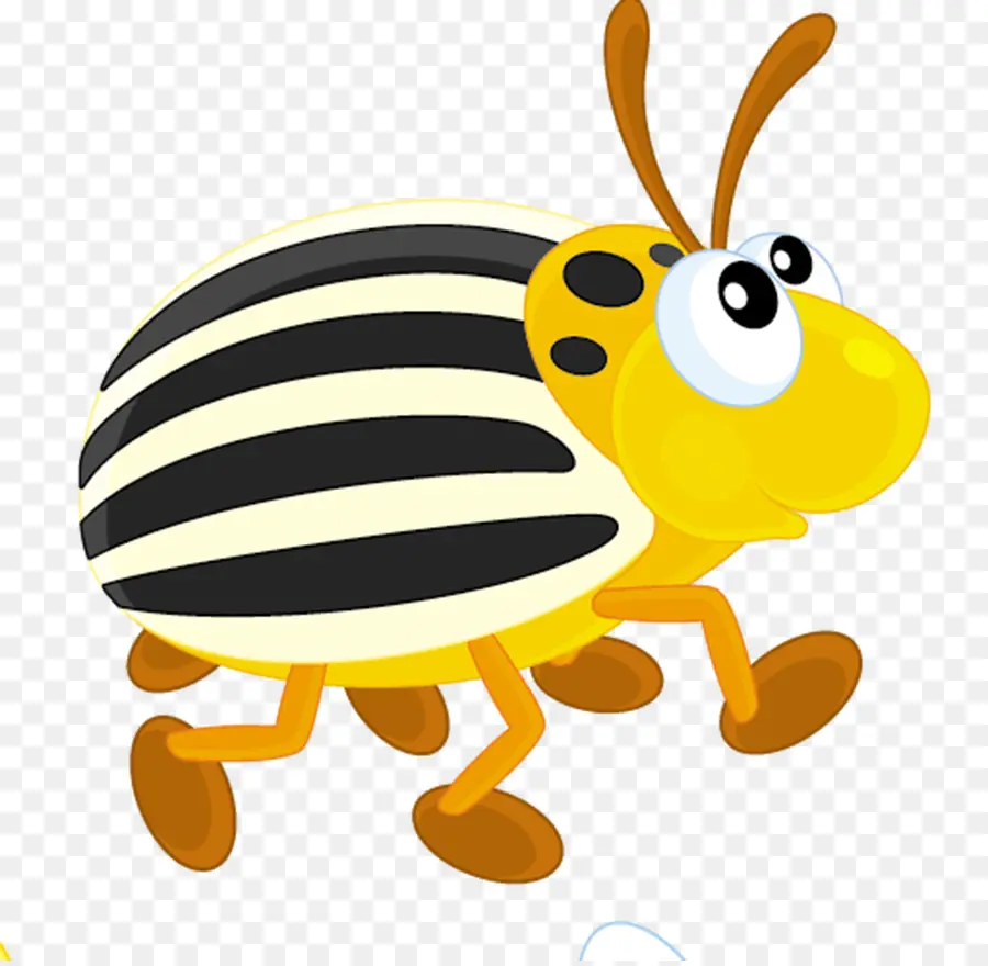 Kumbang，Lebah Madu PNG