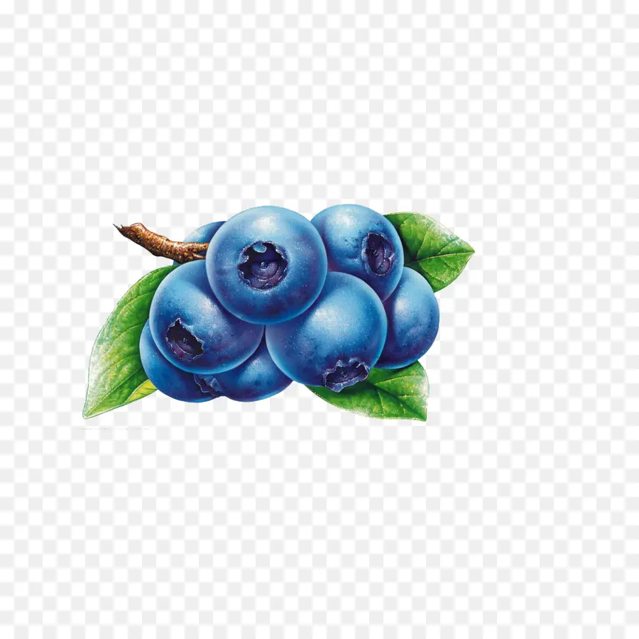 Blueberry，Buah Beri PNG