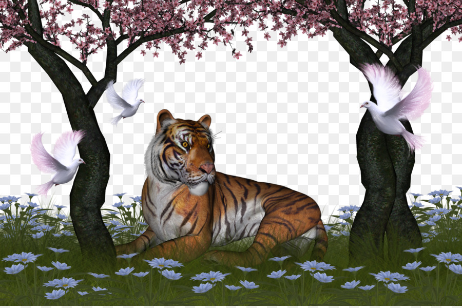 Page 80 | HD animals tiger wallpapers | Peakpx