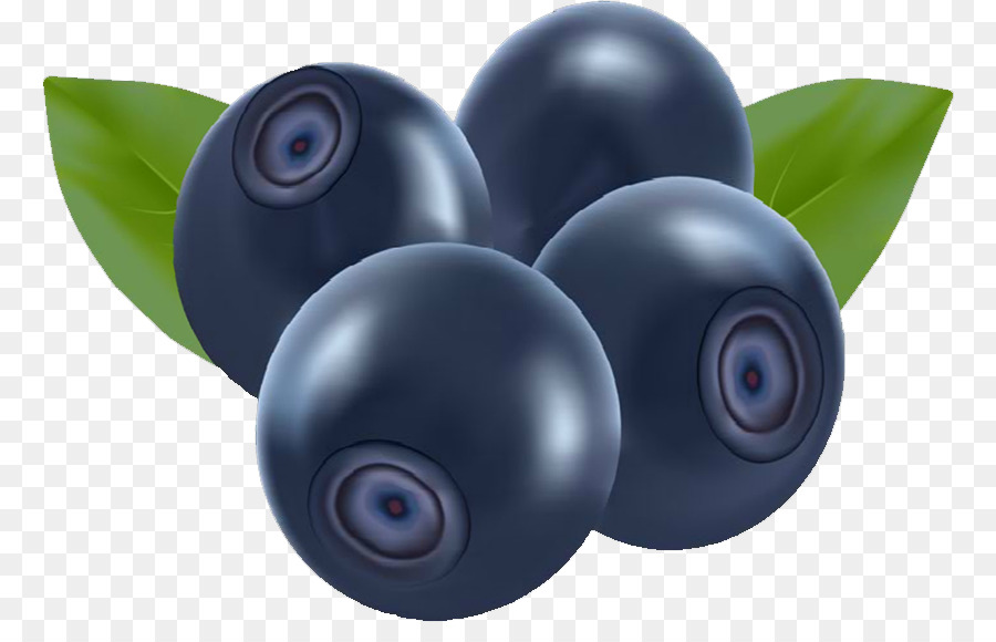 Buah Buahan Dari Hutan，Blueberry PNG