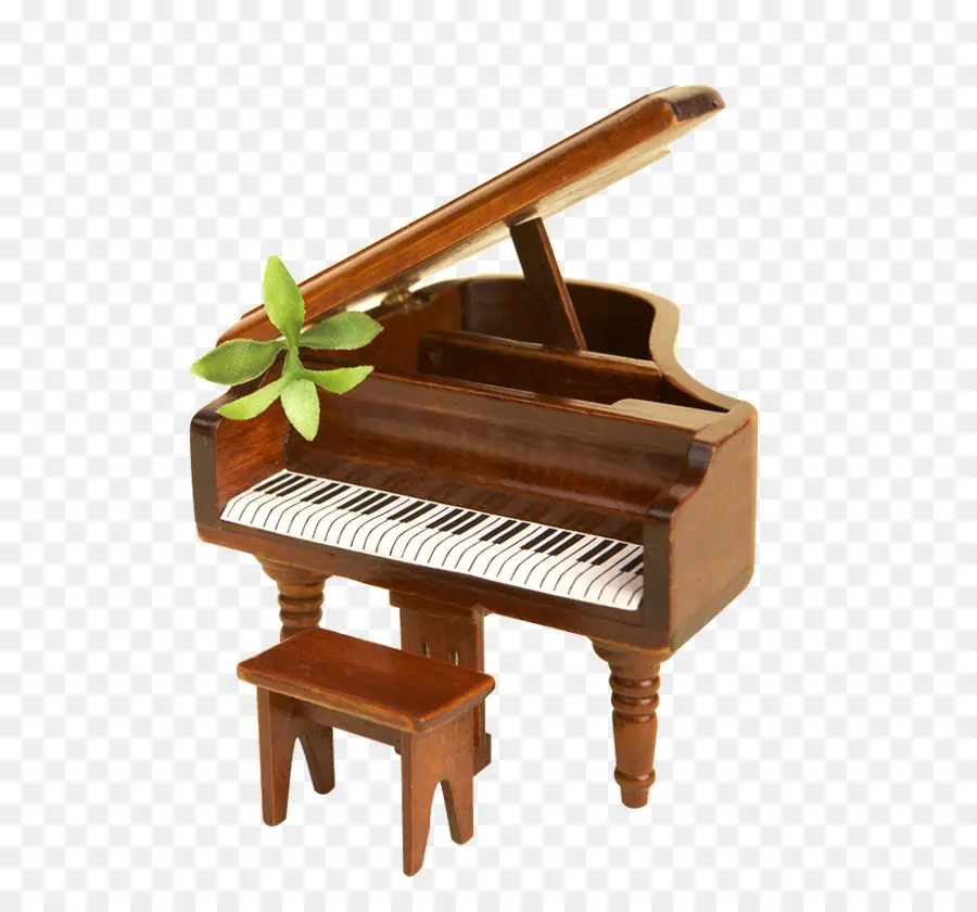 Piano，Tanaman PNG