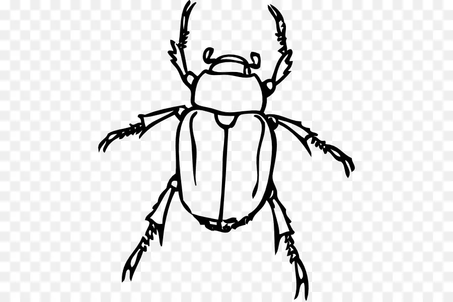 Kumbang，Kumbang Kecil PNG