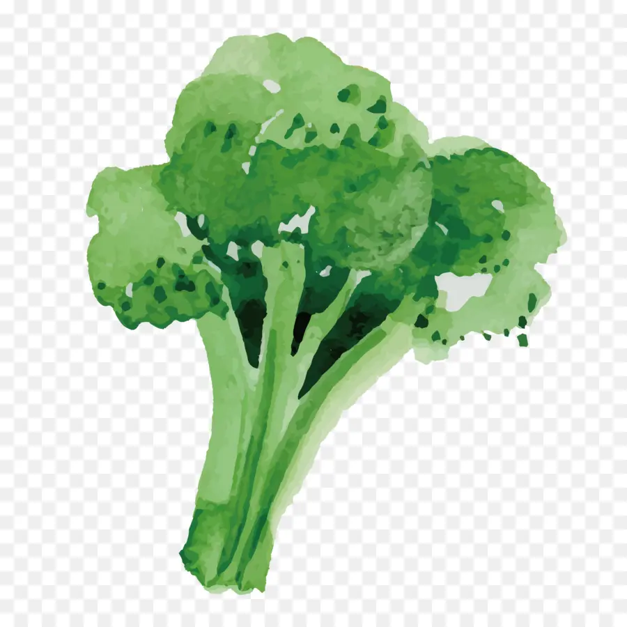 Brokoli，Sayuran PNG