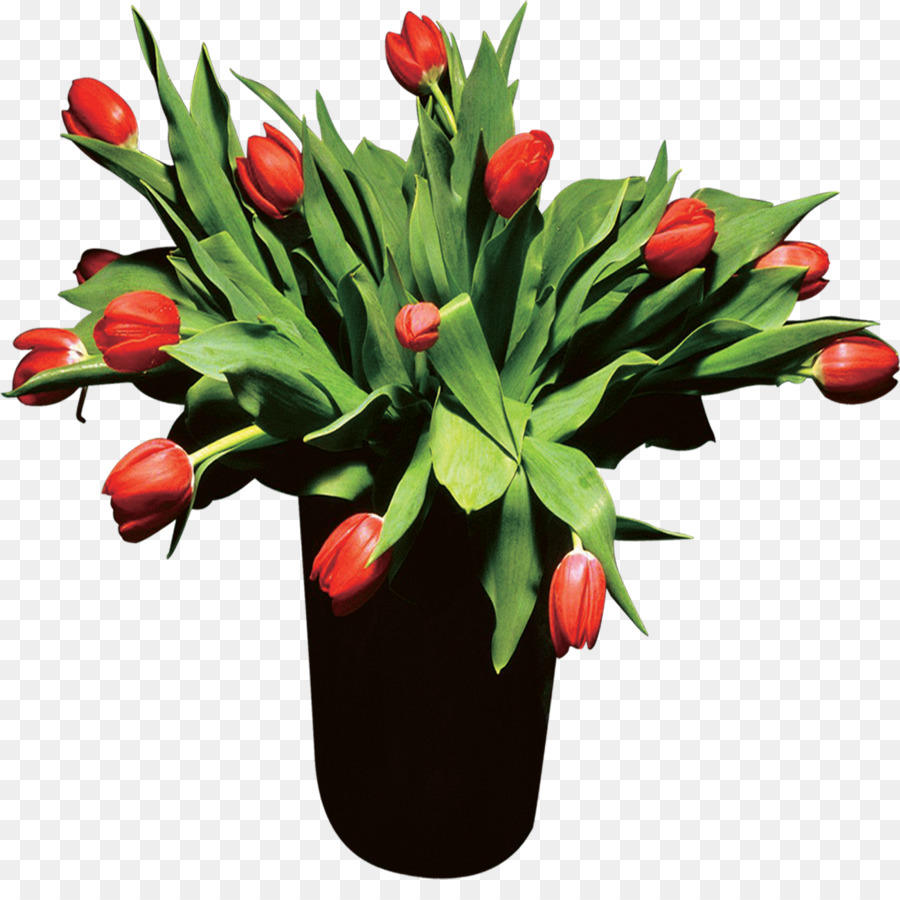  Bunga  Poster Tulip  gambar  png