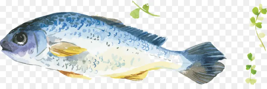 Ikan，Biru PNG