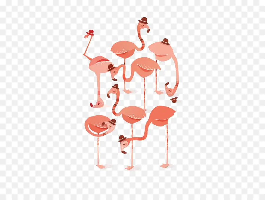 Flamingo，Pink PNG
