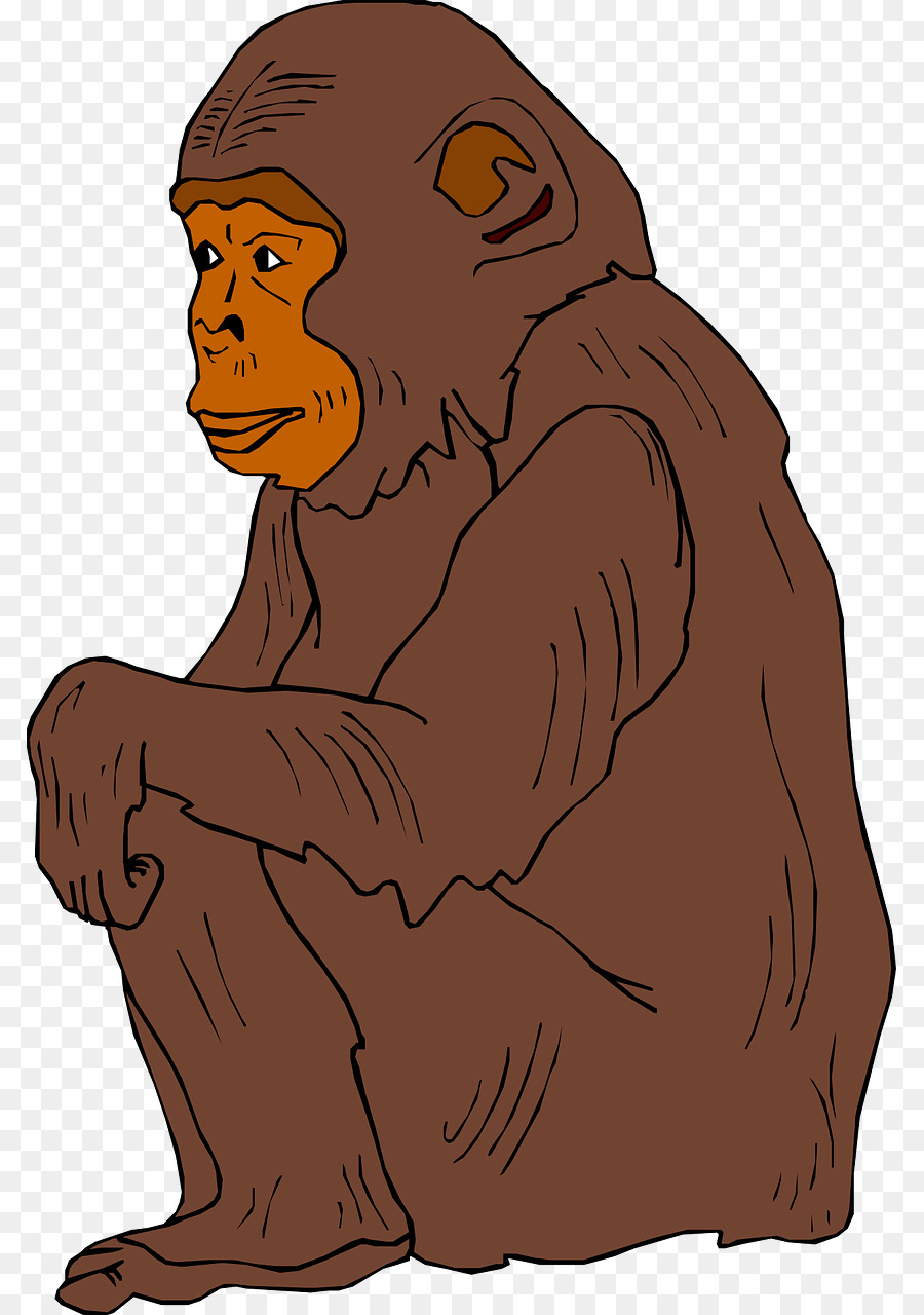 Orangutan，Primata PNG